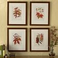Ballard Designs - Individual Fall Leaves Print - Red Maple