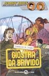 Giostra da brivido. Hardy Boys