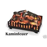 Amazon.de: Elektrische Kamine: Baumarkt