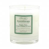 Parks(�p�[�N�X) Aromatherapy �t���O�����X�L�����h�� �W���W���[�A�i�V�A���c�F�A�E�N�x�o&�N���[�u PKNW27