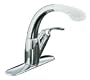 KOHLER K-6352-AP-CP Avatar Single Control Pullout Kitchen Sink Faucet, Polished Chrome