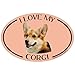 Imagine This Oval Magnet, I Love My Corgi