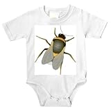 Onesie with social, insect, pollinator, stinger, humla, arthropod, pollination, invertebrate, animal, beneficial, 