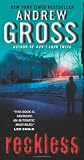 Reckless: A Novel (Ty Hauck)