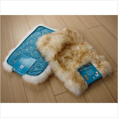 Pet Eclipse Contemporary Rectangular Rug Size: 13