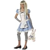 Storybook Alice Tween Costume