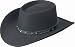 Bailey Western Men's High Stakes Hat