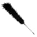 Black Feather Duster - Coal Black