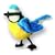 Finger Puppet: RSPB Blue Tit