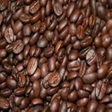 New - Fresh Bolivian Organic Coffee 1 lb by Good Dog Coffee