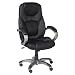 Z-Line Executive Chair with Mesh Fabric