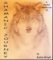 Shamanic Journey A Guided Meditation