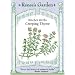 Creeping Thyme Seeds