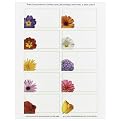 Floral Photo Mini Cards