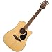 Takamine G Series EG345C Dreadnought 12 String Acoustic Electric Guitar, Natural