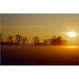 Poster 30 x 20 cm - "Idyll" von Tanja Riedel - auch in anderen Gr��en und als Leinwandbild erh�ltlichvon "POSTERLOUNGE"