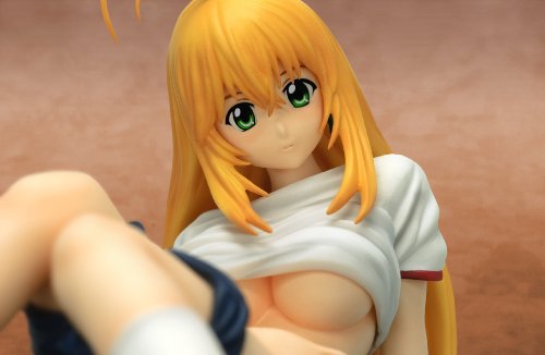 Ikki Tousen : Sonsaku Hakufu Lifting Shirt Ver.2 PVC