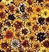 persian30 - Persian Carpet Zinnia