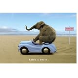 Life's a Beach Poster - 36x24