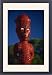 Framed Prints of A carved figure or poupou in a Maori village at the Whakarewarewa thermal and from Robert Harding