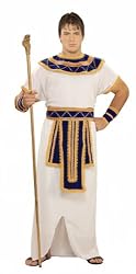 Prince of the Pyramids Costume - Adult Std.