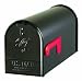Solar Group E1100B00 Standard Size Galvanized Steel Rural Mailbox, Black