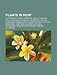 Plaats in Kent: Richborough, Dover, Ramsgate, Royal Tunbridge Wells, Rochester, Sandwich, Maidstone, Chilham, Sevenoaks, Sissinghurst