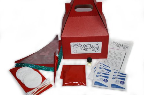 Henna Hottie - Temporary Henna Tattoo Kit (Starter Party Kit)