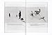 László Moholy-Nagy: 60 Fotos: Books on Books No. 12