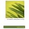 Ambleside Music: Composer Study for Homeschoolers