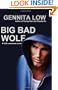 Big Bad Wolf: A Cos Commando Novel