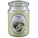 Candle-lite Willow Lane 19oz Jar with Soy Wax - Lemongrass & Ginger