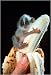 Tiny monkey on a banana art print by John Drysdale