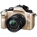 Panasonic �f�W�^�����J���� GH1 �����Y�L�b�g �R���t�H�[�g�S�[���h DMC-GH1A-N