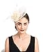 SAFERIN Fascinators Hat Sinamay Flower Feathers on a Headband and a Clip Wedding Tea Party Headwear Bridal Pillow for Girls and Women (Ta4-sinamay Feather Beige)