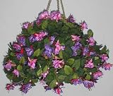 Fuschia Hanging Basket