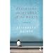 Balancing on the Edge of the World (Salt Modern Fiction)