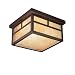 Kichler Lighting 10957CV Alameda 13-Watt 2-Light Fluorescent Energy Star Outdoor Ceiling Flush Mount, Canyon View with Honey Opalescent Glass