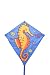 HQ Eddy Seahorse