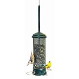 Brome 1055 Squirrel Buster Mini