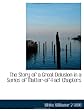 The Story of a Great Delusion in a Series of Matter-of-Fact Chapters