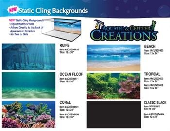 Fish & Aquatic Supplies Coral Scene Background