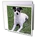 Dogs Rat Terrier - Rat Terrier - Greeting Cards-12 Greeting Cards with envelopes
