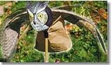 Prowler Owl with Moving Wings