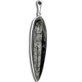 Sterling Silver Orthoceras Fossil and Black Star Pendant by Sajen