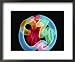 Soft Focus Distorts a Neon Flamingo in a Blue Circle National Geographic Collection F...