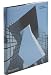 Building the New Millennium, Architecture at the Start of the 21st Century