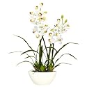 Nearly Natural Cymbidium W/White Vase Silk Flower Arrangement