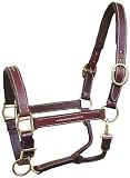 Padded Halter - Horse