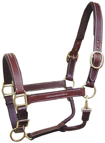 Padded Halter - Horse